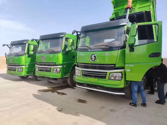 シャックマン/H3000/F3000/6X4/8X4 ダンプトラック/特殊トラック